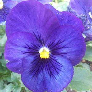 Meet your Posher, Jacqueline